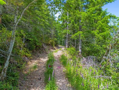 905 NE Tahuya Blacksmith Road Tahuya WA 98588