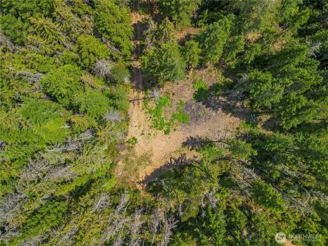 905 NE Tahuya Blacksmith Road Tahuya WA 98588