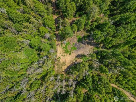 905 NE Tahuya Blacksmith Road Tahuya WA 98588