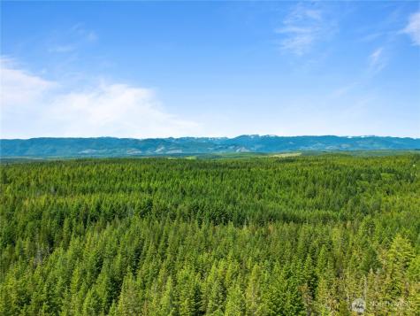 905 NE Tahuya Blacksmith Road Tahuya WA 98588