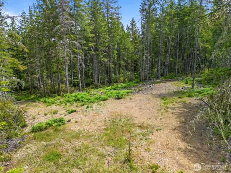 905 NE Tahuya Blacksmith Road Tahuya WA 98588