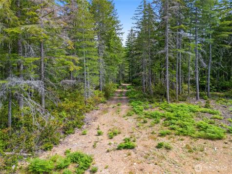 905 NE Tahuya Blacksmith Road Tahuya WA 98588