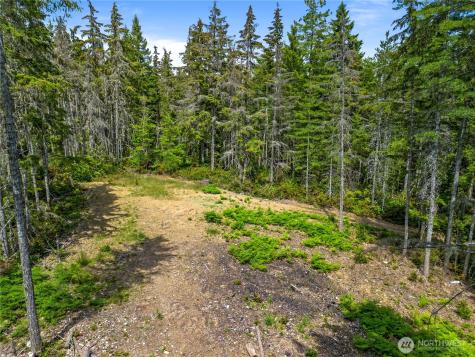 905 NE Tahuya Blacksmith Road Tahuya WA 98588
