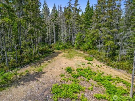 905 NE Tahuya Blacksmith Road Tahuya WA 98588