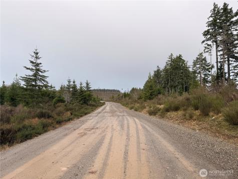 1 West California Road Shelton WA 98584