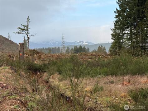 1 West California Road Shelton WA 98584