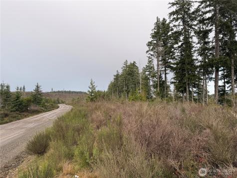 1 West California Road Shelton WA 98584