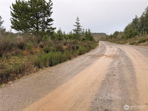 1 West California Road Shelton WA 98584