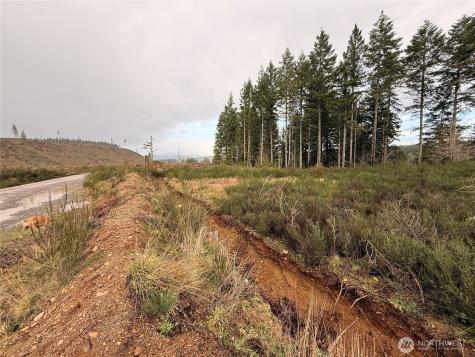 1 West California Road Shelton WA 98584