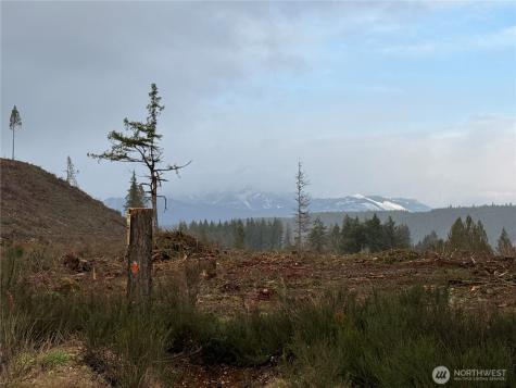 1 West California Road Shelton WA 98584