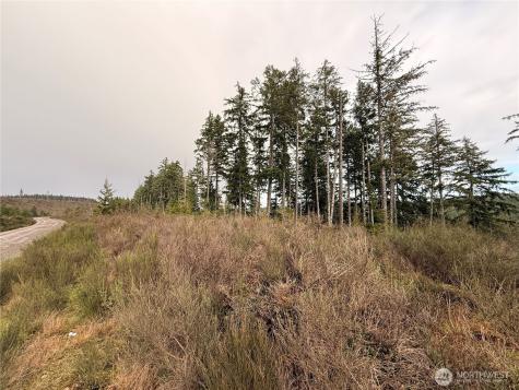 1 West California Road Shelton WA 98584