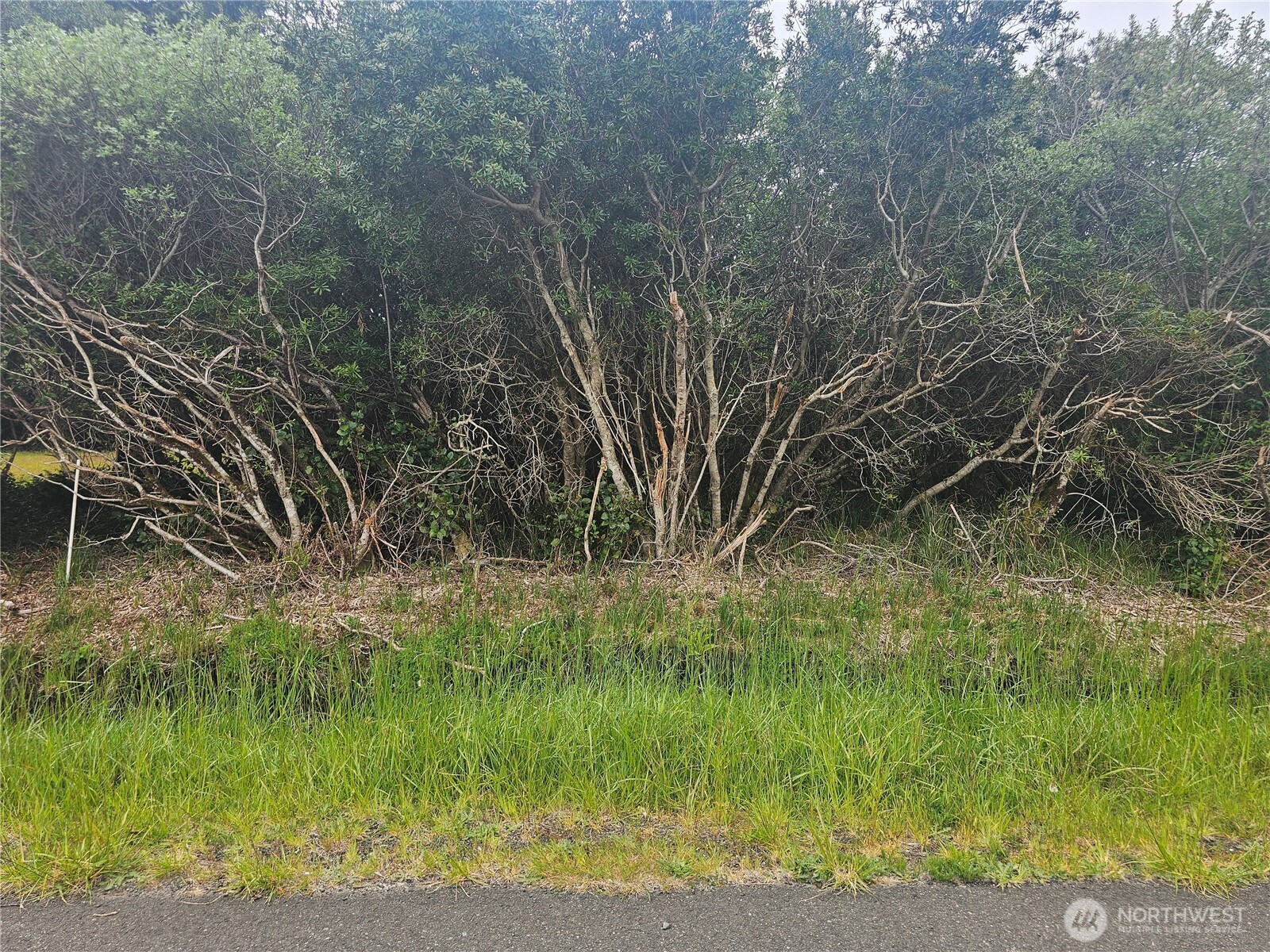 1051 Fariwood Drive SW Ocean Shores WA 98569