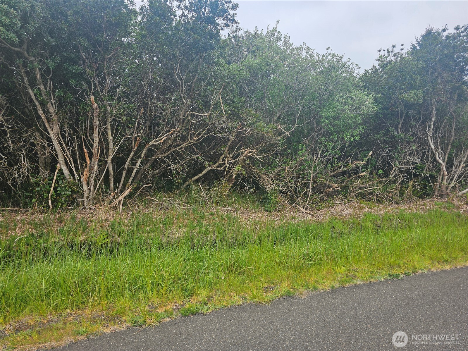 1051 Fariwood Drive SW Ocean Shores WA 98569