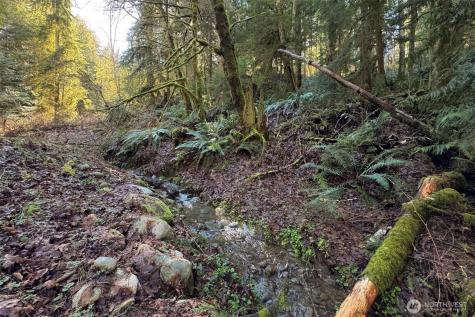276 Watershed Road Port Angeles WA 98362