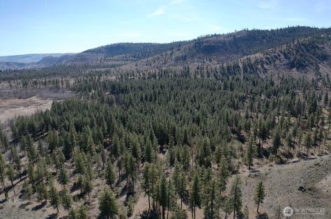 0 Washington Creek Road Chelan WA 98816