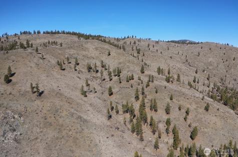 0 Washington Creek Road Chelan WA 98816