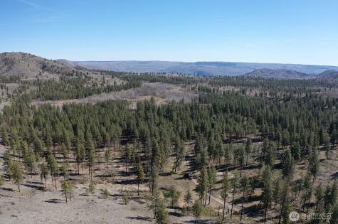 0 Washington Creek Road Chelan WA 98816