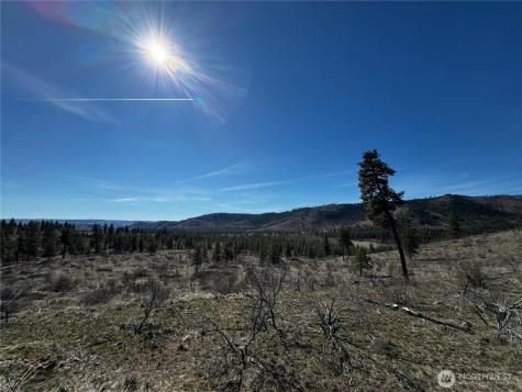 0 Washington Creek Road Chelan WA 98816