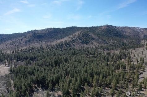 0 Washington Creek Road Chelan WA 98816
