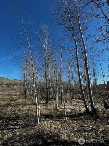 0 Washington Creek Road Chelan WA 98816