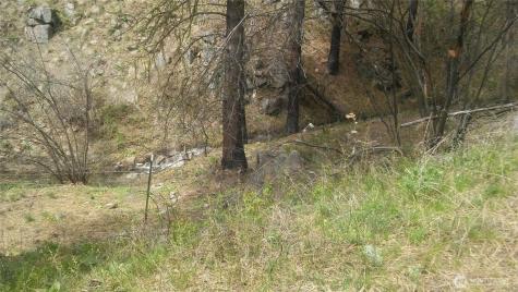 0 Tbd N Fork Salmon Creek Road Conconully WA 98819