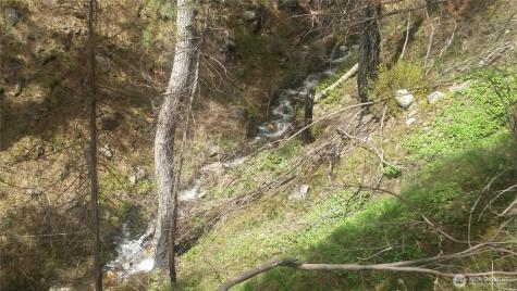 0 Tbd N Fork Salmon Creek Road Conconully WA 98819