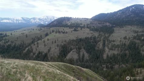 0 Tbd N Fork Salmon Creek Road Conconully WA 98819