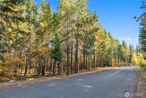 430 Iron Monarch Loop Cle Elum WA 98922