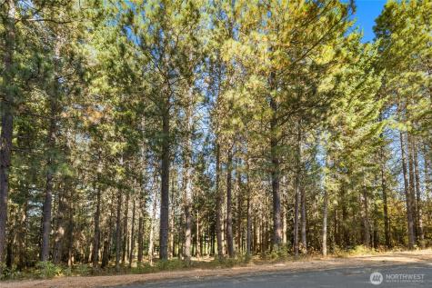 430 Iron Monarch Loop Cle Elum WA 98922