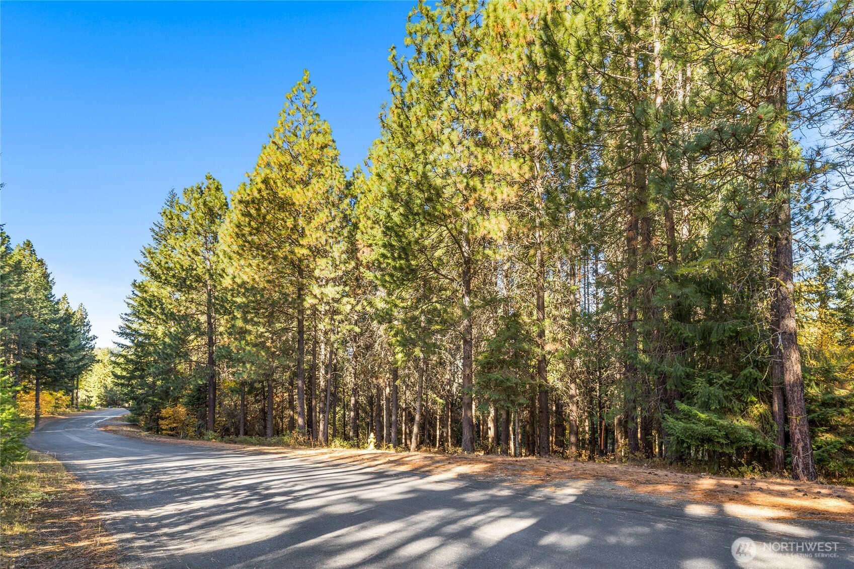 430 Iron Monarch Loop Cle Elum WA 98922