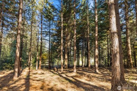 430 Iron Monarch Loop Cle Elum WA 98922