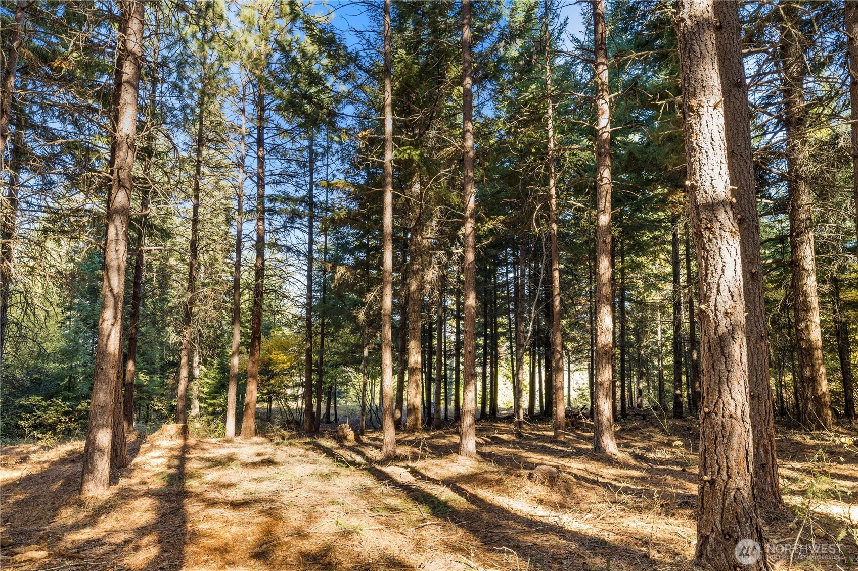 430 Iron Monarch Loop Cle Elum WA 98922