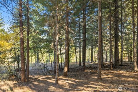 430 Iron Monarch Loop Cle Elum WA 98922