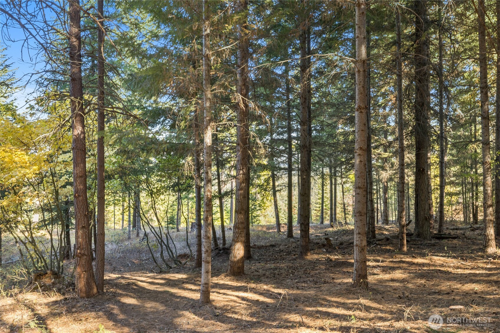 430 Iron Monarch Loop Cle Elum WA 98922