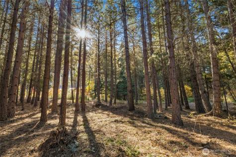 430 Iron Monarch Loop Cle Elum WA 98922