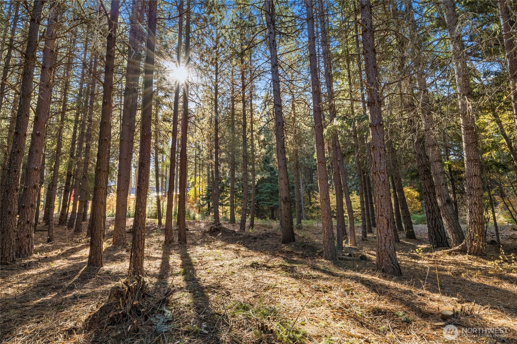 430 Iron Monarch Loop Cle Elum WA 98922