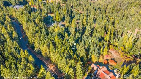 430 Iron Monarch Loop Cle Elum WA 98922