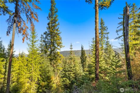 430 Iron Monarch Loop Cle Elum WA 98922