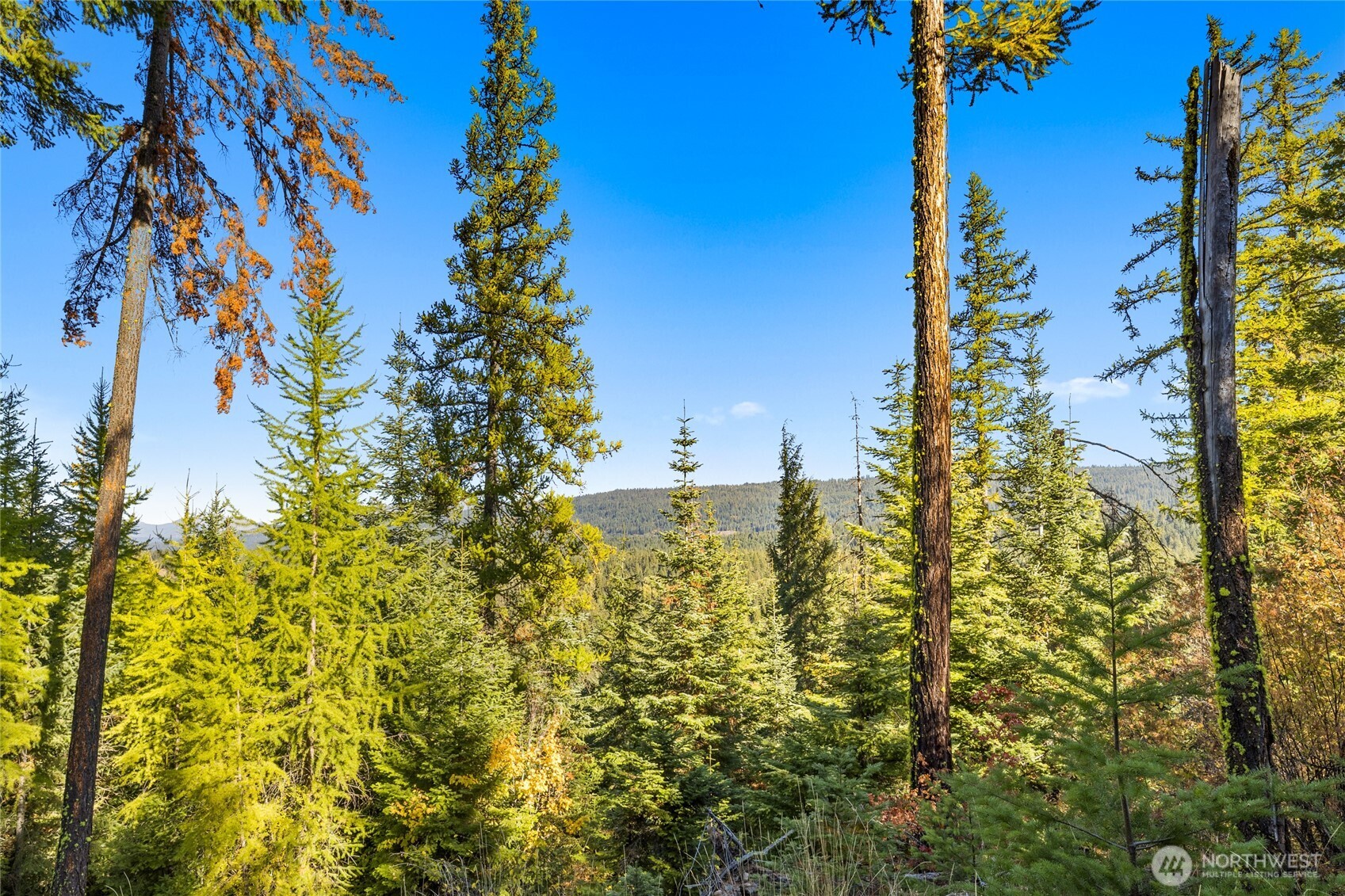 430 Iron Monarch Loop Cle Elum WA 98922