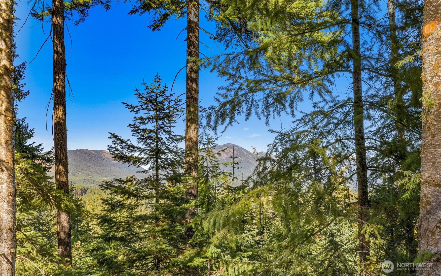 430 Iron Monarch Loop Cle Elum WA 98922