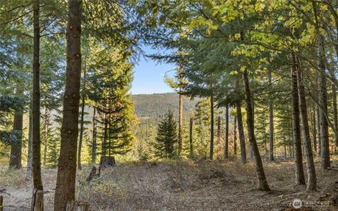 430 Iron Monarch Loop Cle Elum WA 98922