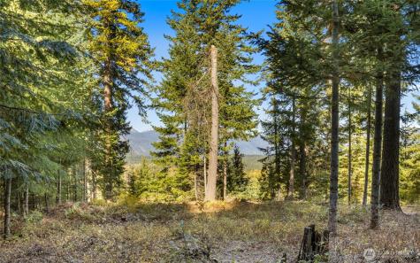 430 Iron Monarch Loop Cle Elum WA 98922