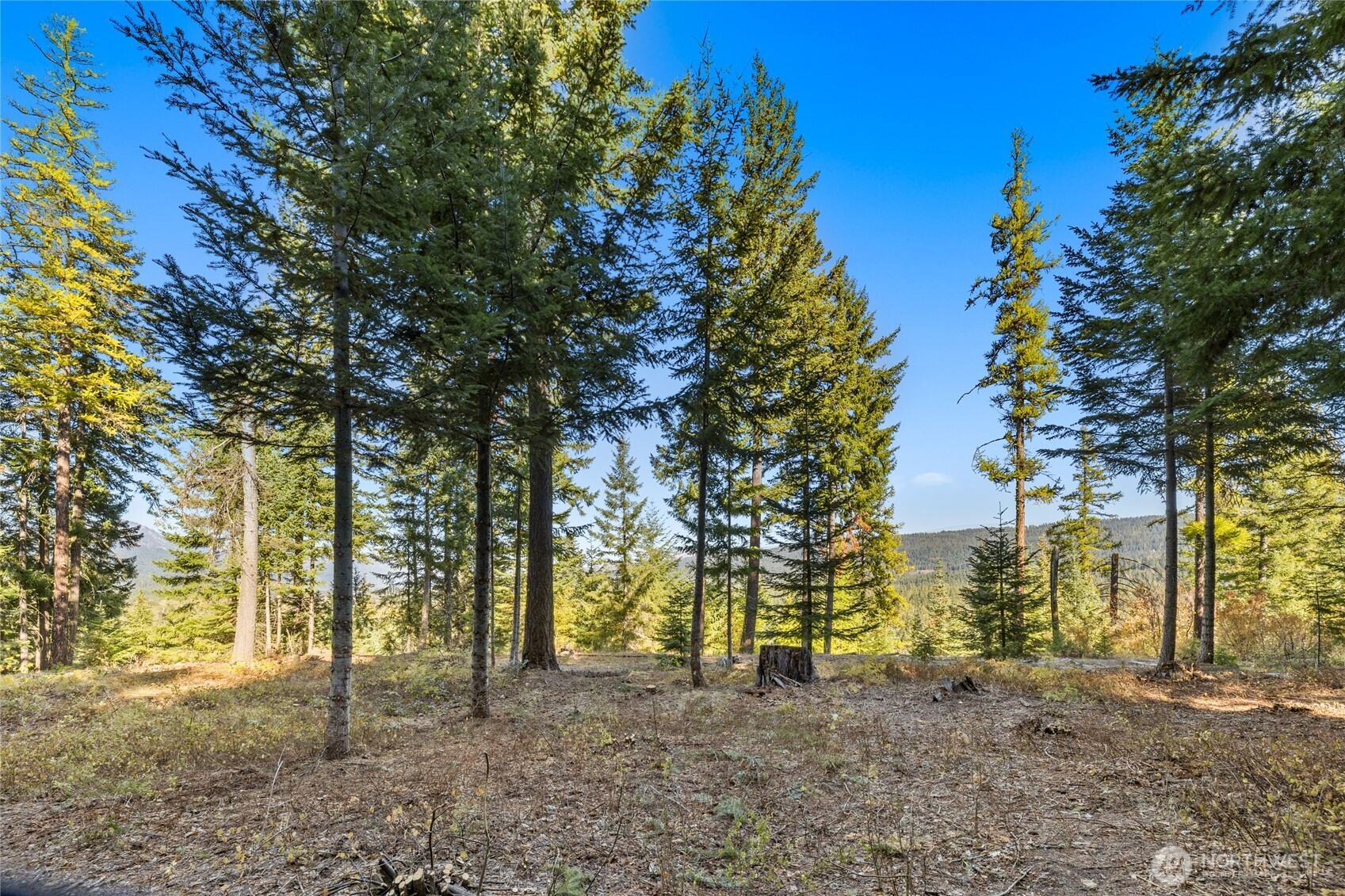 430 Iron Monarch Loop Cle Elum WA 98922