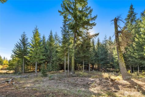 430 Iron Monarch Loop Cle Elum WA 98922
