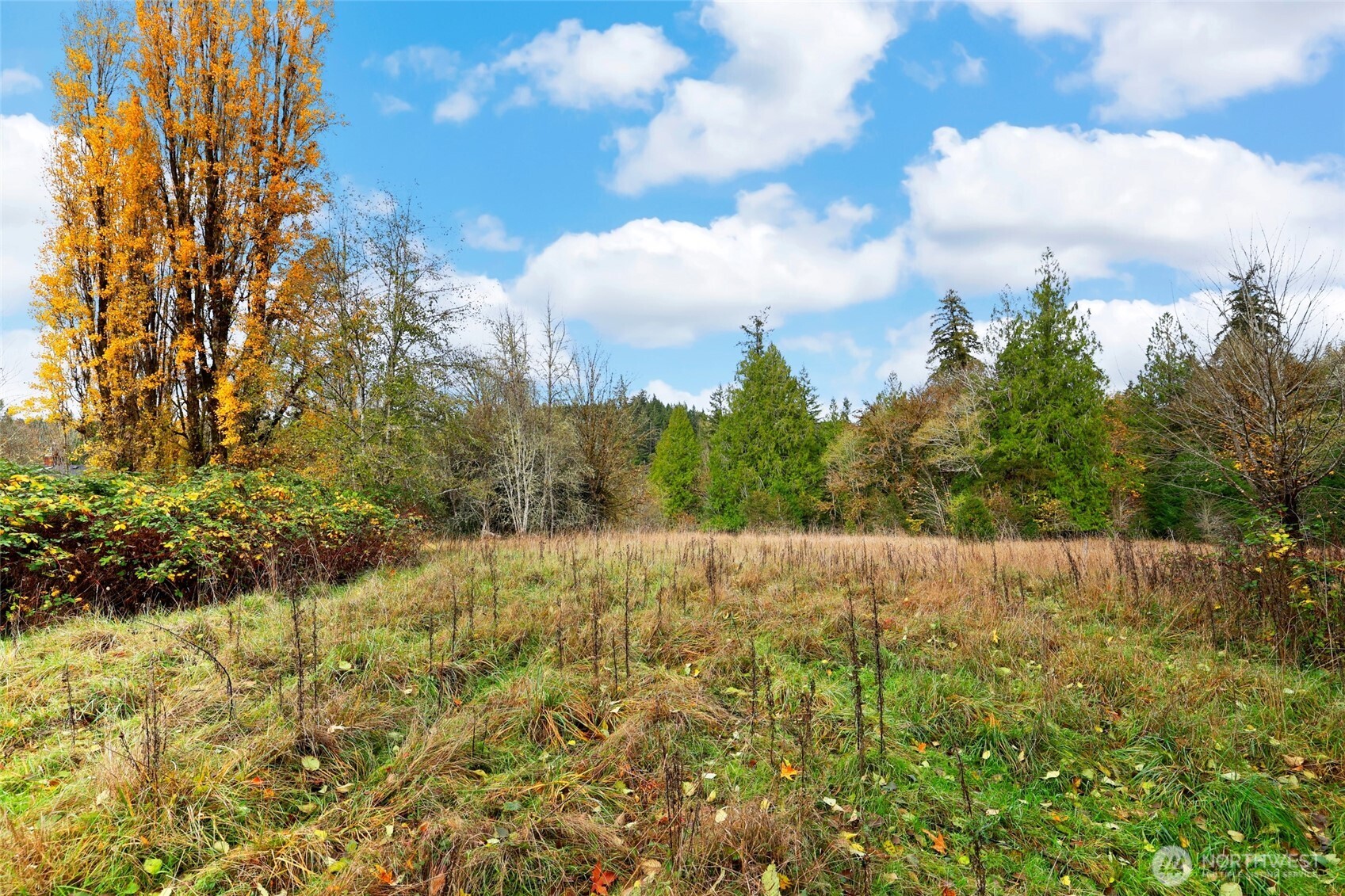 3093 SE Kamilche Point Road Shelton WA 98584