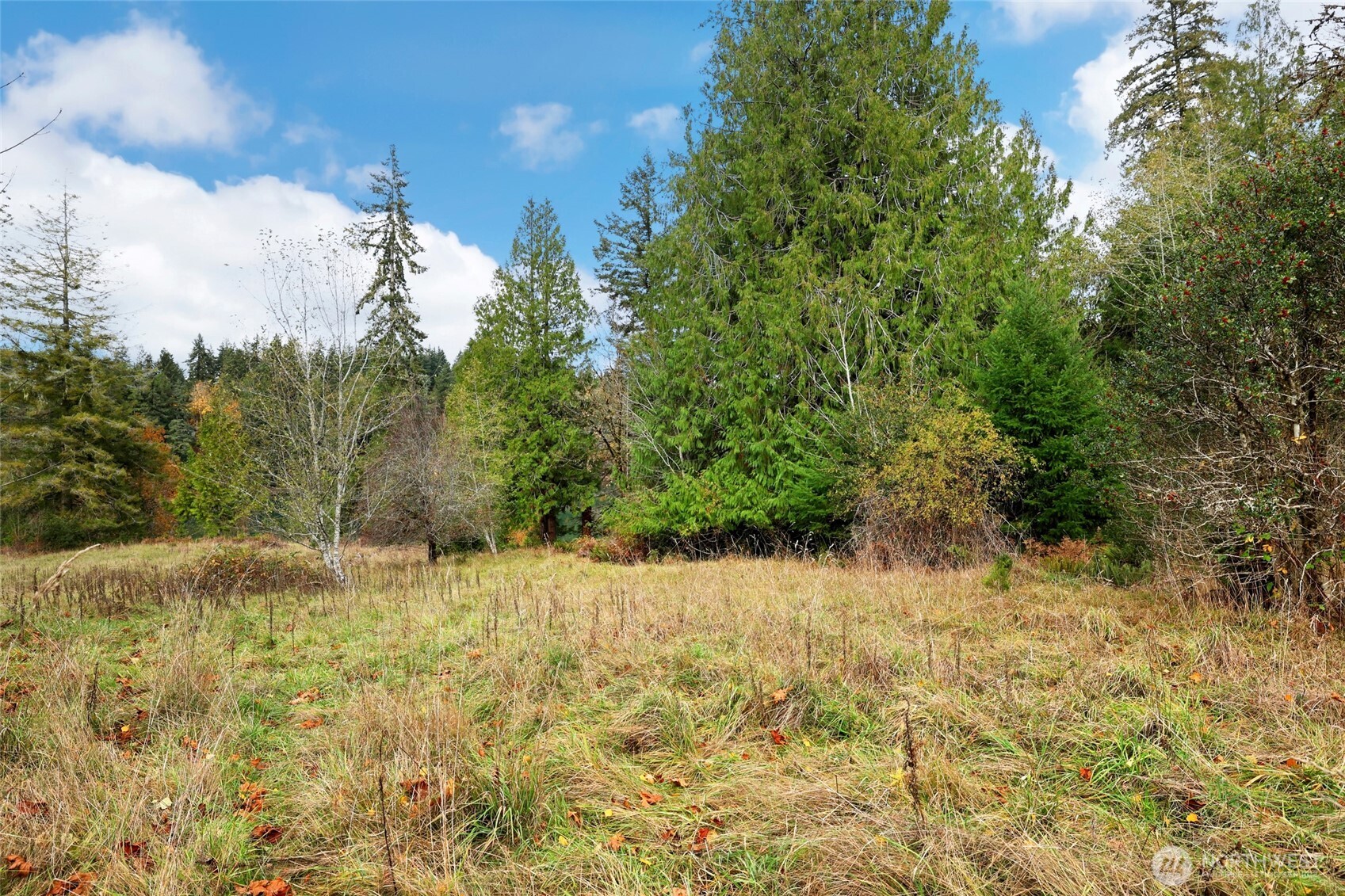 3093 SE Kamilche Point Road Shelton WA 98584