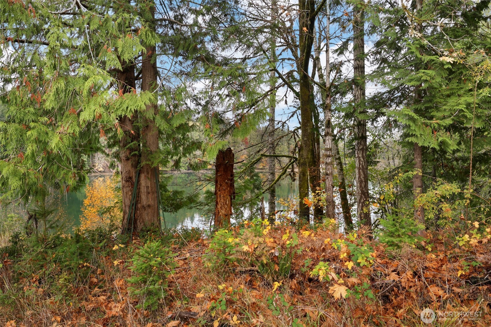 3093 SE Kamilche Point Road Shelton WA 98584