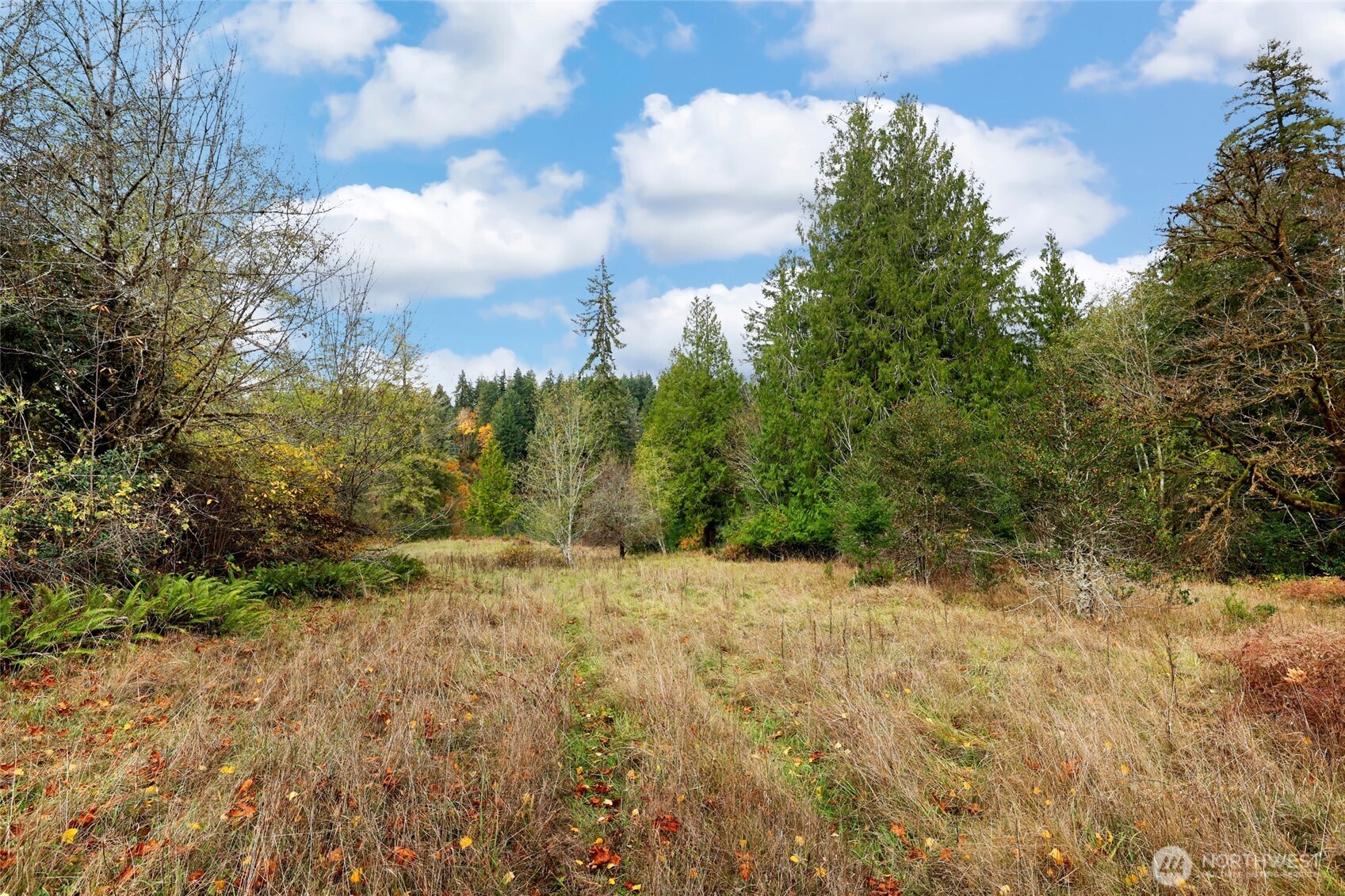 3093 SE Kamilche Point Road Shelton WA 98584