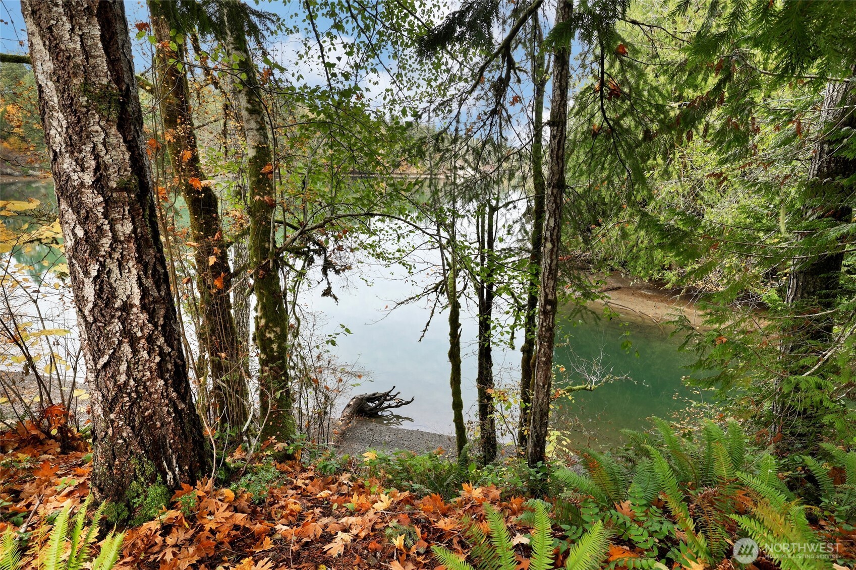 3093 SE Kamilche Point Road Shelton WA 98584