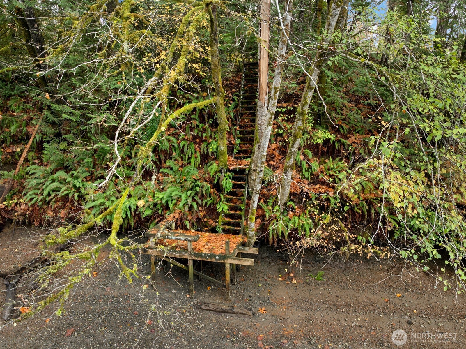 3093 SE Kamilche Point Road Shelton WA 98584